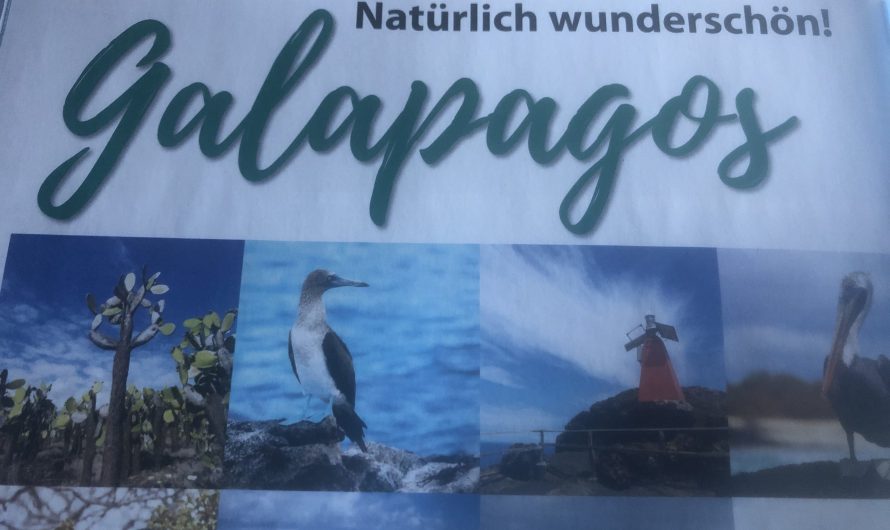 Galapagos-Reportage